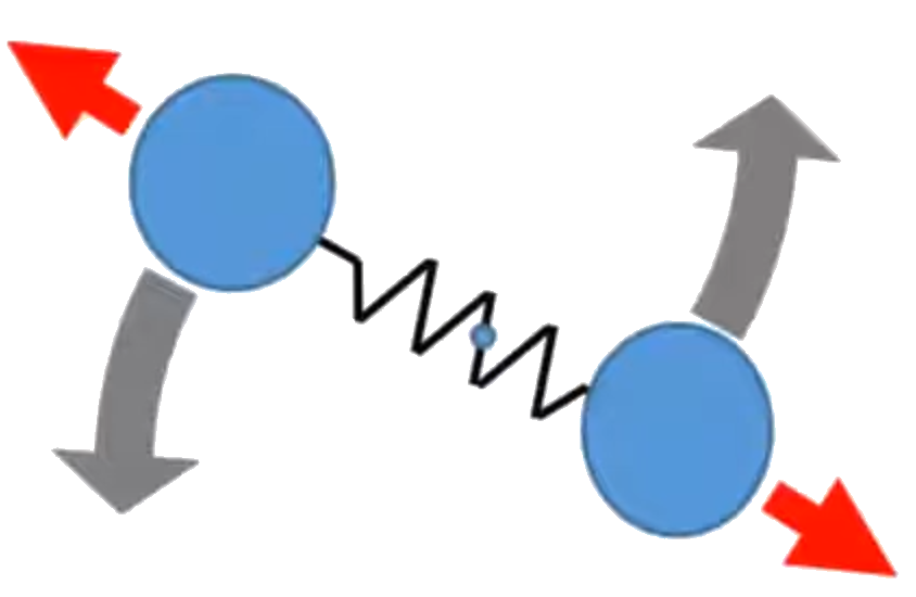 Diatomic gases