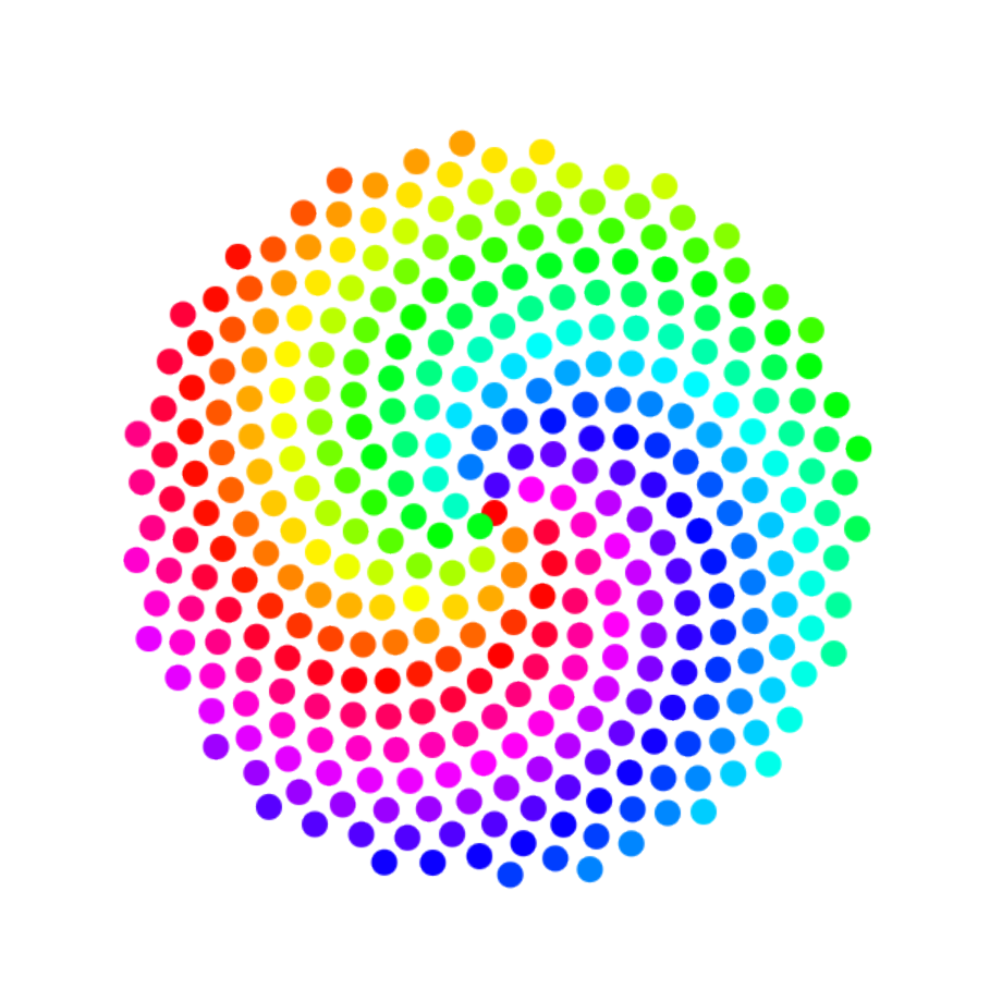 Phyllotaxis simulation