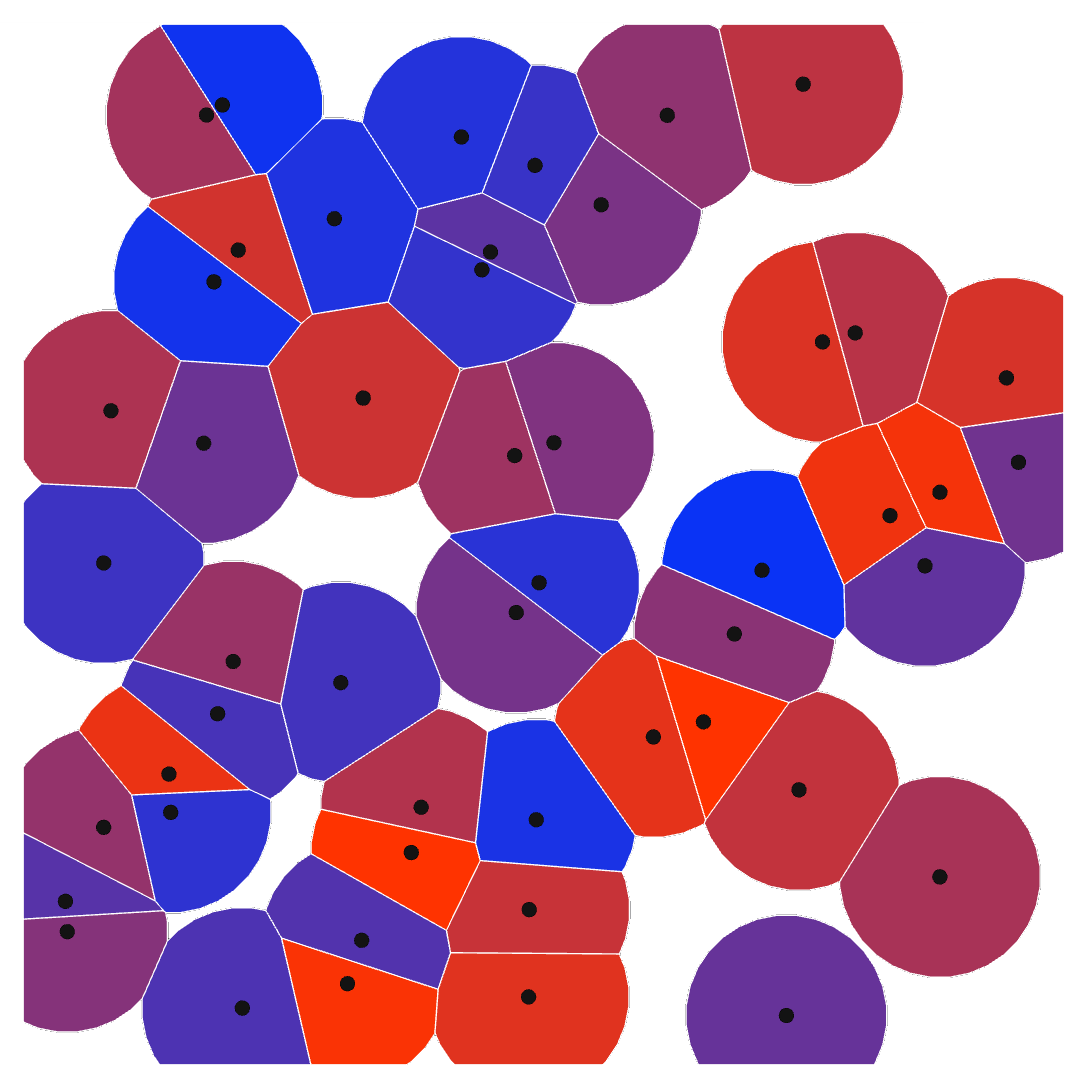 Cell growth simulation using Voronoi tesselation