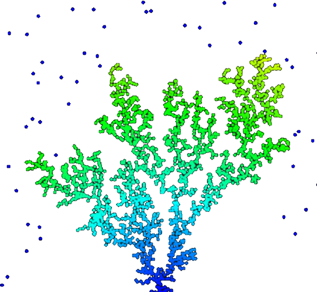 Growing 2D coral-like structures using diffusion limited aggregation