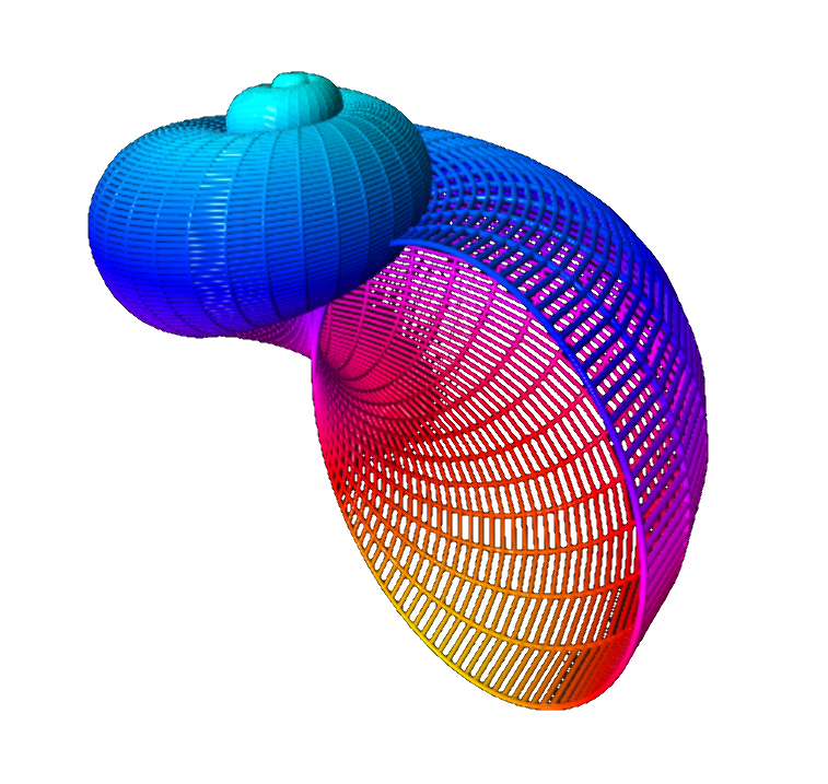 Seashell