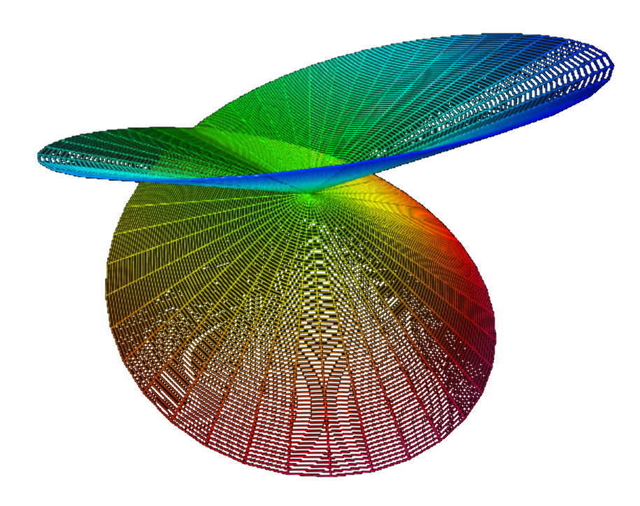 Self-intersecting disk