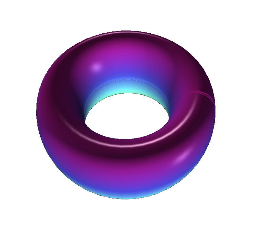 Torus