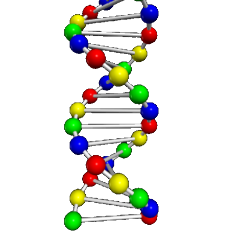 DNA