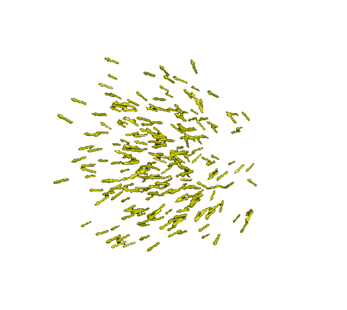 Flocking birds