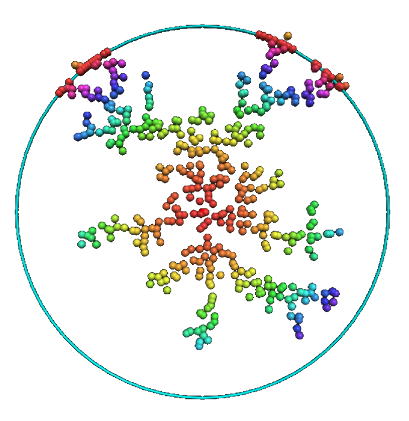 Two-dimensional diffusion limited aggregation
