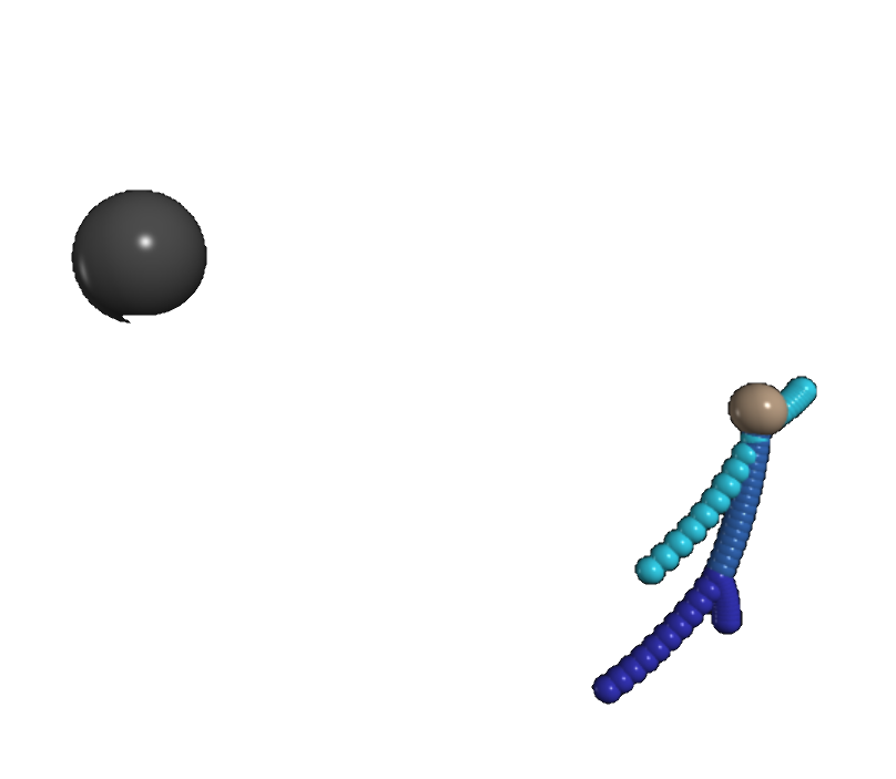 Spaghettification