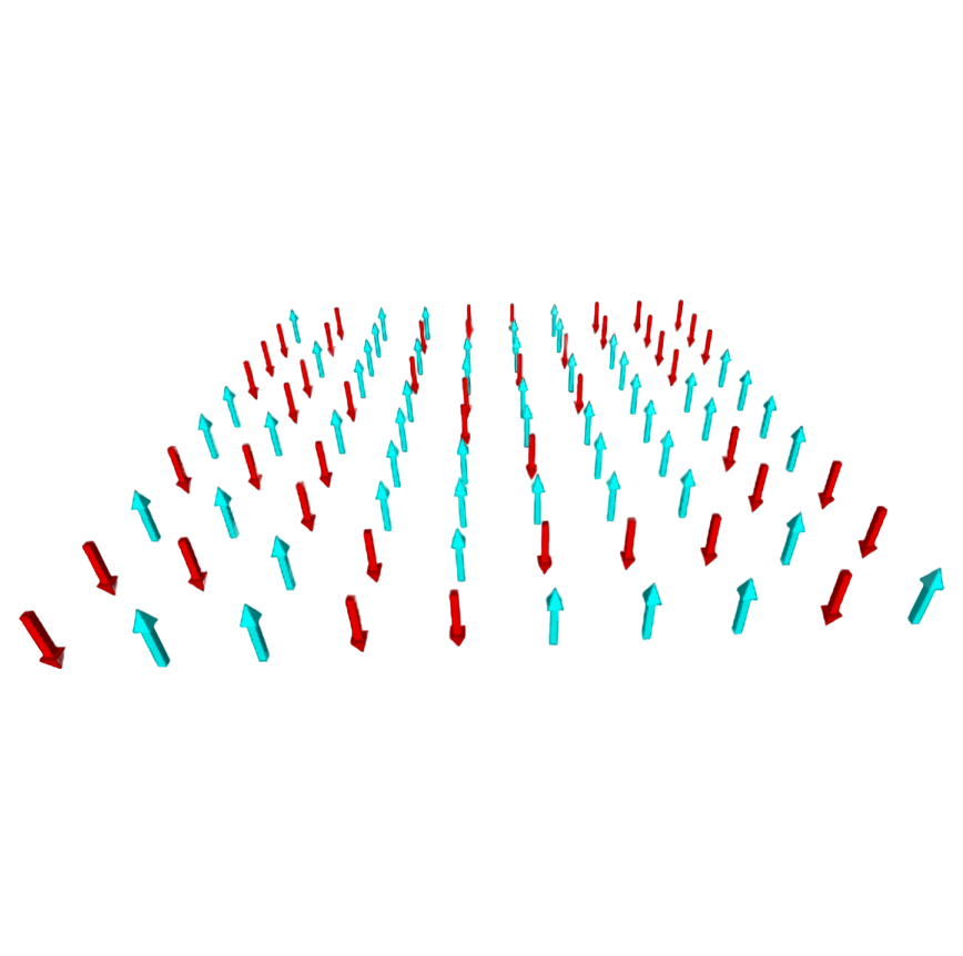 Ising spin model