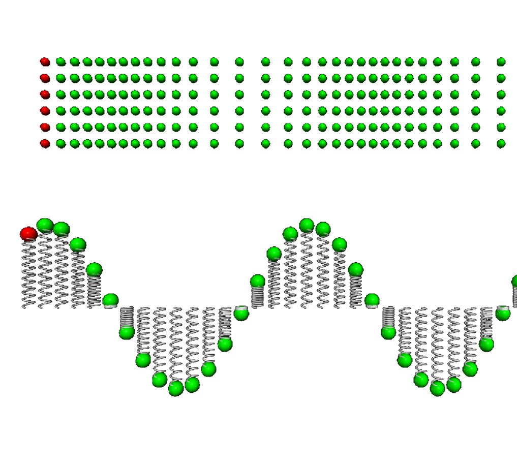 Longitudinal and transversal waves